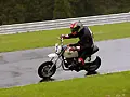 070603_0098.webp