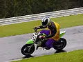070603_0118.webp