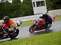 070603_0341.webp