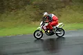 070603_1375.webp