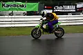 070603_1466.webp