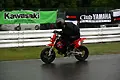 070603_1474.webp