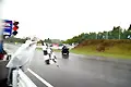 070603_1876.webp