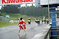 070603_1973.webp
