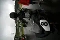 070603_2107.webp