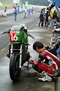 pict8484.webp