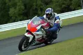 pict1294.webp