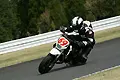 pict0441.webp