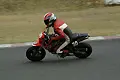 pict0622.webp