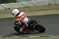 pict0885.webp