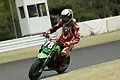 pict1102.webp