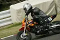 pict1264.webp