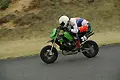 pict1291.webp