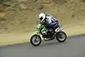 pict1317.webp