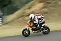pict1321.webp