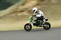 pict1324.webp