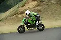 pict1331.webp
