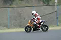 pict8619.webp