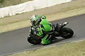 pict8872.webp